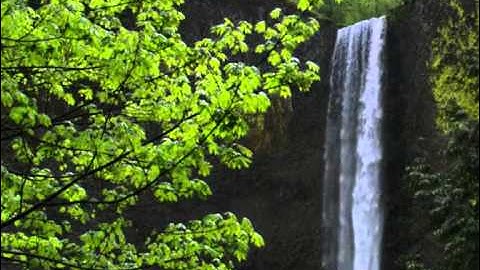 سورة الشمس - أحمد بانافع -