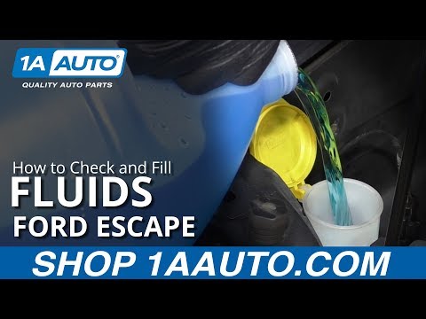 How to Check and Fill Fluids 08-12 Ford Escape
