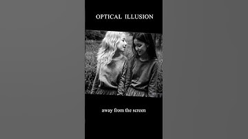 Find The Third Hidden Face In This Optical Illusion