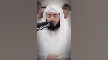 الشيخ وديع اليمني جديد التلاوات المرئيه رمضان 🌙 1444ه‍