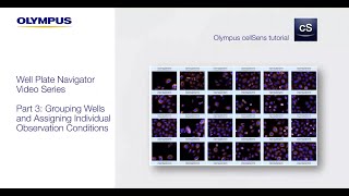Well Plate Navigator Series - Part 3: Grouping Wells & Assigning Individual Observation Conditions