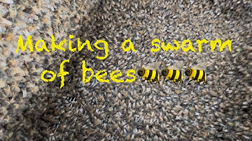 Making Artificial Swarm