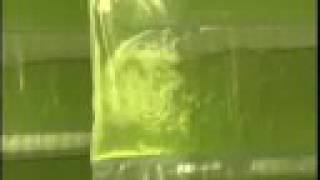 #5 Vertigro - Gas, Diesel, Biofuel production from algae Net Worth