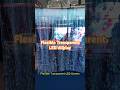 Flexible transparent LED screen: Perfect for integrating dynamic displays with glass architecture.