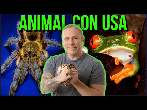 Animal Con USA w/ Brian Barczyk