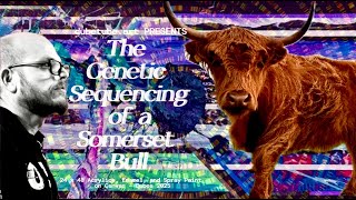 The Genetic Sequencing Of A Somerset Bull