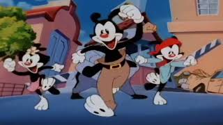 Bubblegum Btch animaniacs Yakko Amv