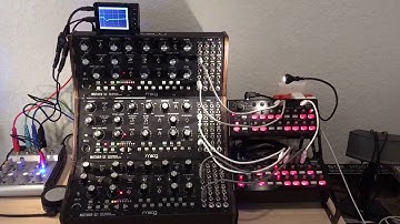 3 Moog Mother 32s and 2 Korg SQ1