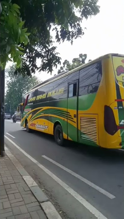 Putra Luragung Sakti 'JAYAMAHE' #luragung #jayamahe #busviral #bulus