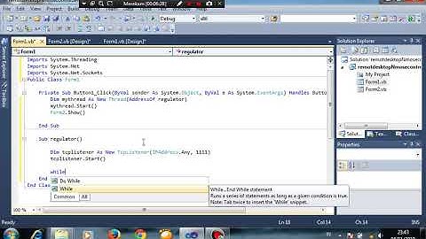 Remote Desktop and Mouse Control Server Part1 VB.NET