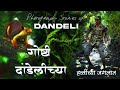    wildlife of dandeli  series        part  1