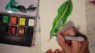 Demonstration with Cretacolor Aqua Brique - Gum leaf painting