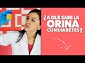 ¿Qué es la Diabetes? Experimento con ORINA