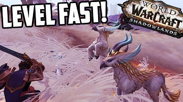 The Easiest & Fastest Way to Level Alts in Shadowlands