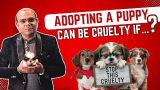 Adopting A Puppy Can Be Cruelty If.....❓By Baadal Bhandaari