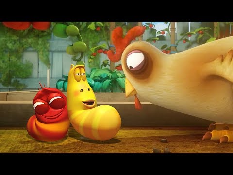 LARVA - CHICKEN FOOD | Cartoon Movie | Cartoons For Children | Larva Cartoon | LARVA Official