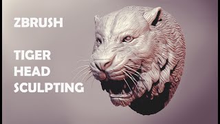 Zbrush sculpting ( Tiger Head ) Time lapse screenshot 3