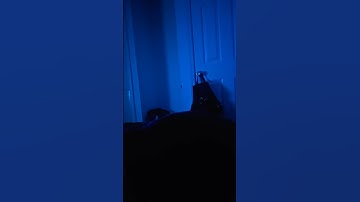 yayy I did my first loop