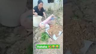 funny videos #viral #funny #shorts