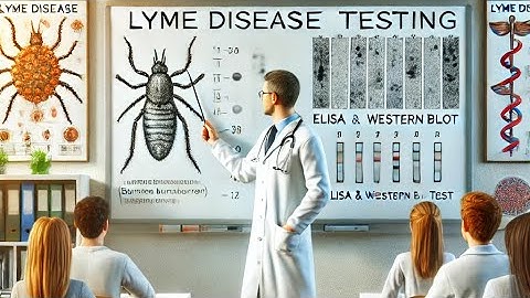 Lyme Disease Testing Explained