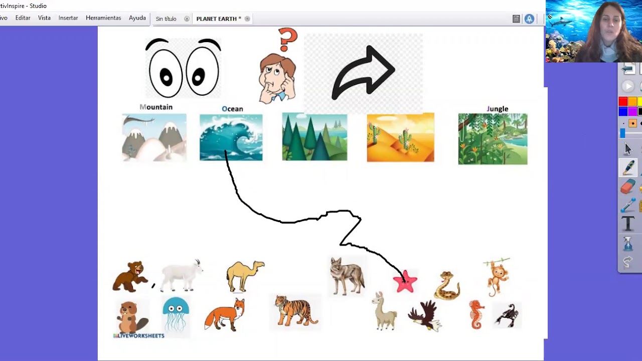 the habitats YouTube