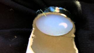 Solar Eclipse Viewing Time Lapse - May 20th, 2012