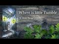 Where is little Tumble by Mona Hauge