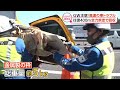 GWの事故に注意！高速の車トラブル【しらべてみたら】
