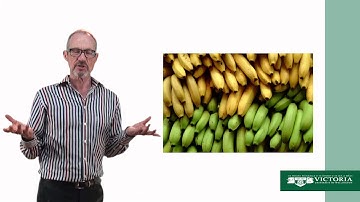 Vid 10 Infomation Transfer