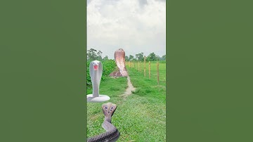 Vfx video#hara htaa shambhu#ji Nath#videos rere