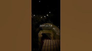 حالات واتس قران كريم | محمد صديق المنشاوي