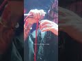 DIR EN GREY - Demand from 『TOUR25 蜿蜒』2025.12.10 Zepp Haneda