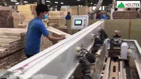 [HOLZTEK] MÁY KHOAN NGANG CNC ĐỊNH VỊ HỒNG NGOẠI