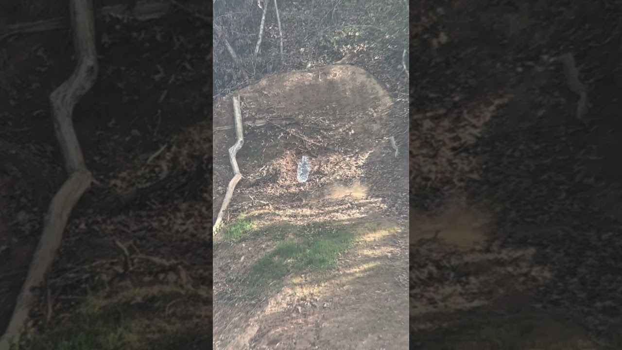 Mm110 clone, FGMM 175gr Center Strike, 575yd rapid engagement