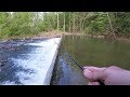 CREEK Fishing for TROUT with Spinners & Jigs