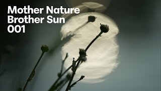 Mother Nature, Brother Sun 001