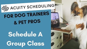 Create a Group Class in Acuity Scheduling - for Dog Trainers Pet Professionals