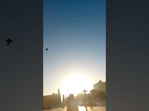 الرد على شبهة قول سيدنا عمر لولا أن يقول الناس زاد عمر في كتاب الله لكتبت آية الرجم
