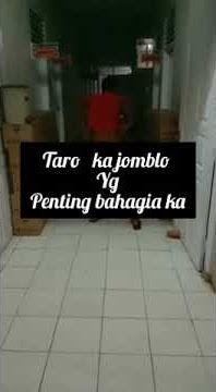 Vidio story wa bugis lucu part 1