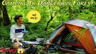 Solo Night Camping In Dangerous Rain Forest | Spend 24 Hour In Dangerous Forest | Camping Gone Wrong