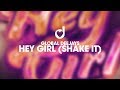 Global deejays  hey girl shake it