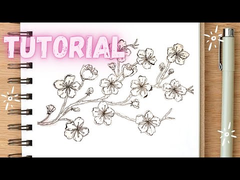 Video: Cómo Dibujar Una Flor De Sakura