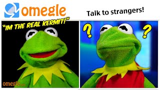 Kermit The Frog VS Kermit the Frog on Omegle!