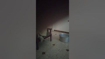 القارئ الشيخ مصطفى محمد كمال سوره البقرة راءع جدا
