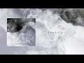 The Black Crown - Seeking (Entropy Track n°6)
