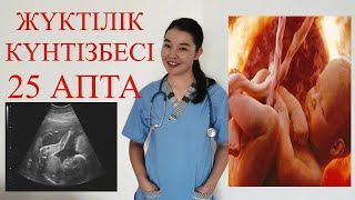 Жүктілік күнтізбесі 25 апта//календарь беременности 25 неделя