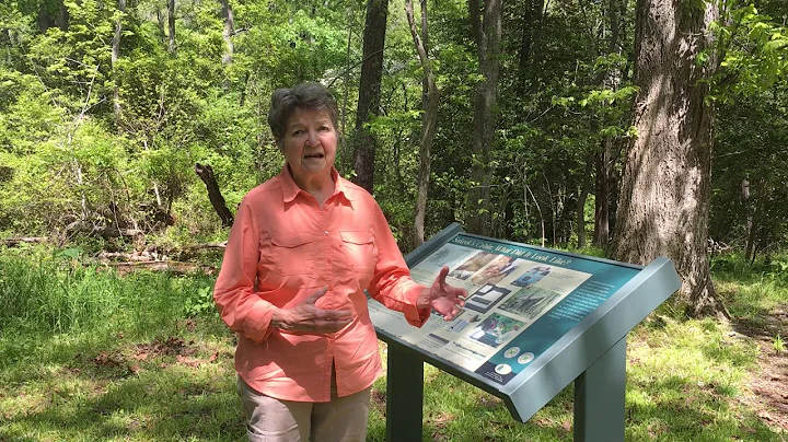 Site Tour Saturday- Sukeek's Cabin Part 1