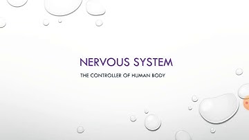 NERVOUS SYSTEM in 9 minutes /revision/ best before exams/ #nervoussystem #preexamrevision