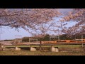 2017/04/09　近鉄大阪線 伊勢石橋の桜 の動画、YouTube動画。