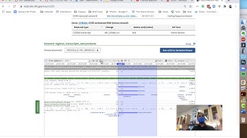 Sequence Around the SNP